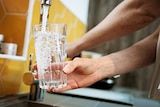 Close up of a glass under a tap of running water