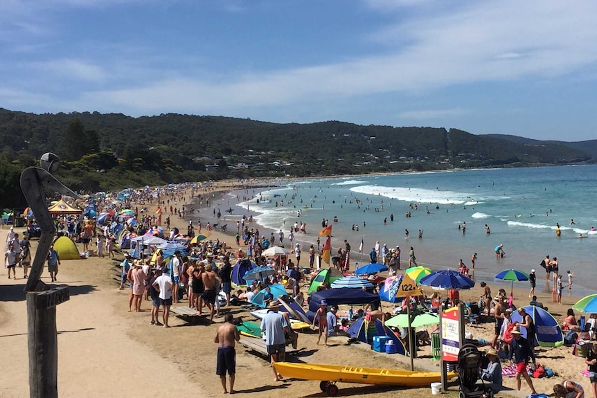 People lining the beach at Lorne.