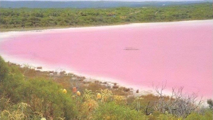 Pink Lake in Esperance when it was still pink.