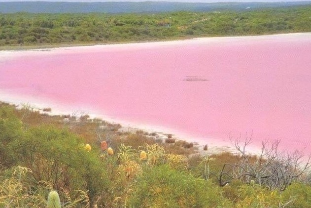 Pink Lake in Esperance when it was still pink.