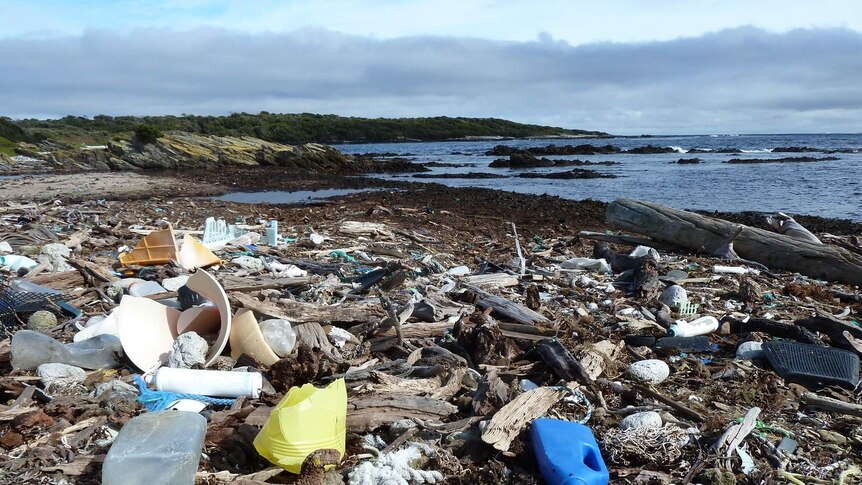Rubbish washed up along the coastline