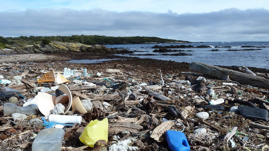 Rubbish washed up along the coastline