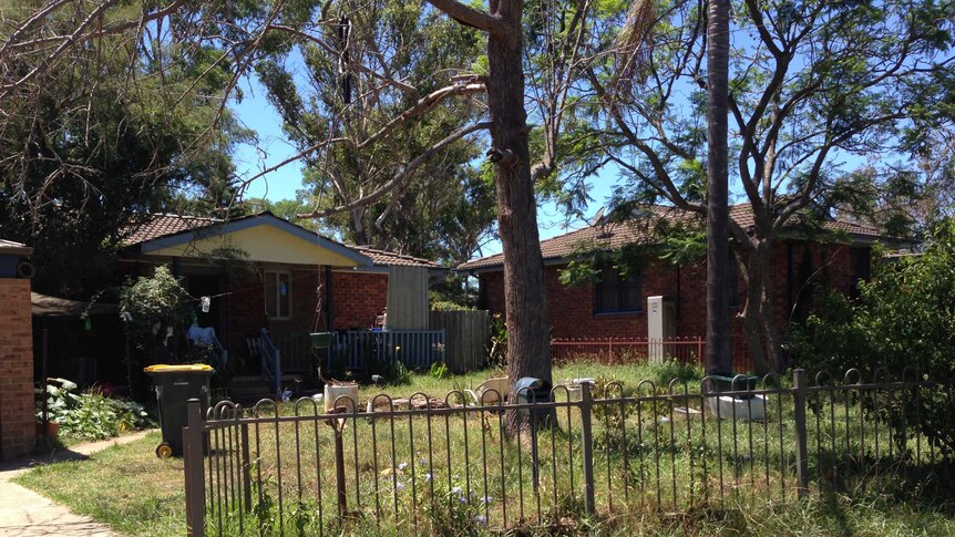 An overgrown yard in front of a house in the western Sydney suburb of Bidwill.