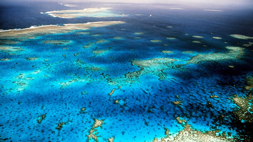 Great Barrier Reef