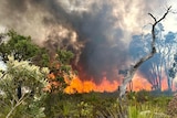 Flames from a bushfire in Bindoon