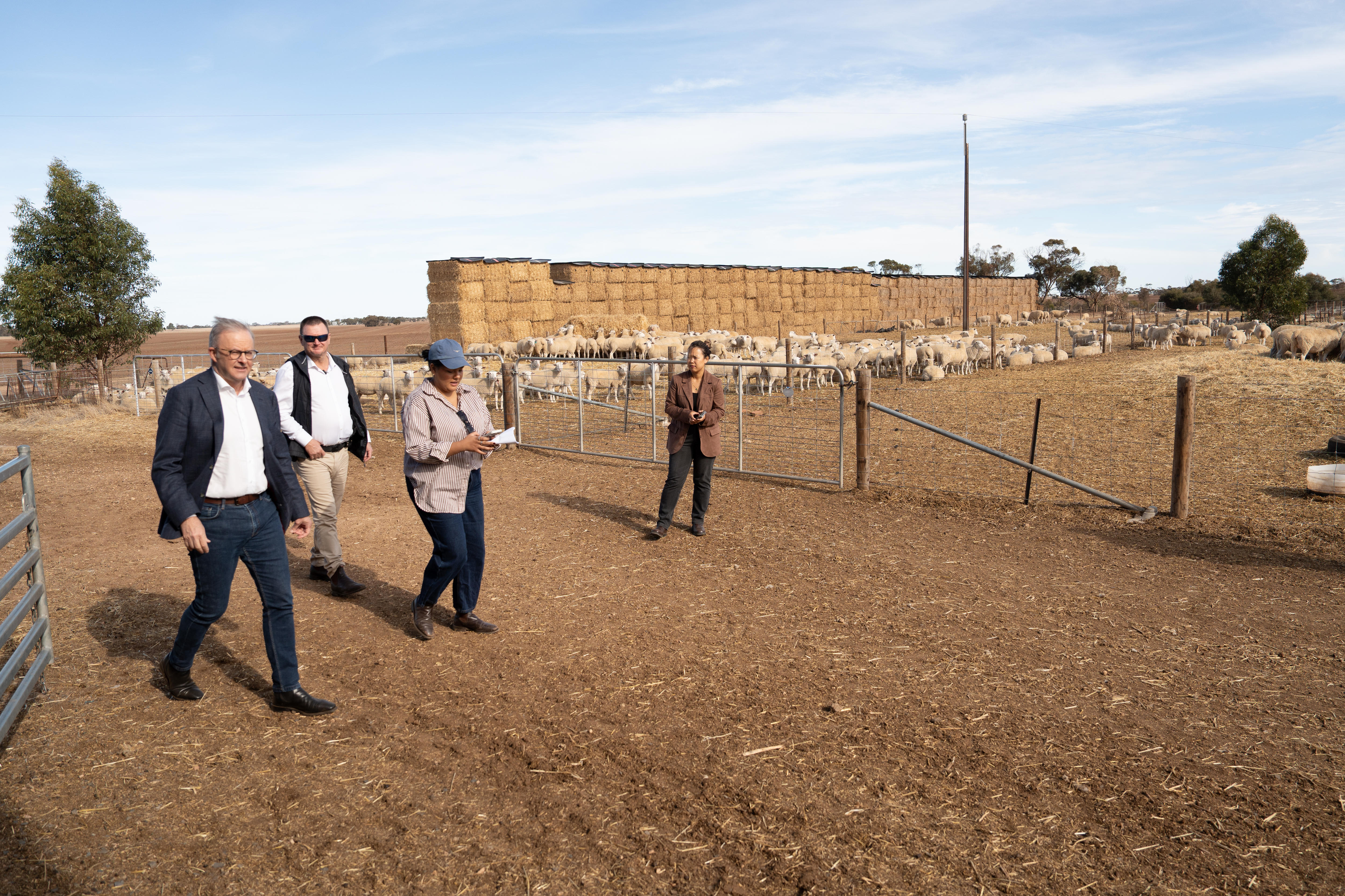 The Prime Minister, wearing a suit jacket and jeans, walks through a dusty paddock on a sheep farm.
