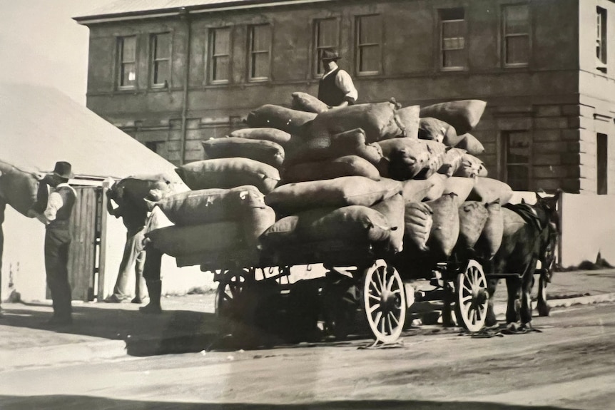 a black and white photo of a cart carrying loads of cotton.