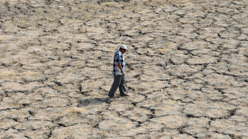 Indian man walks across dried-out lake bed