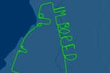 A flight radar map.