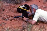 A man with a large video camera lies on the ground on red dirt filming a lizard.