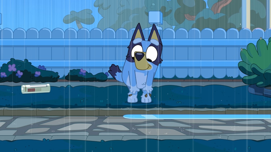 Bluey stands outside in the rain preparing to collect the newspaper