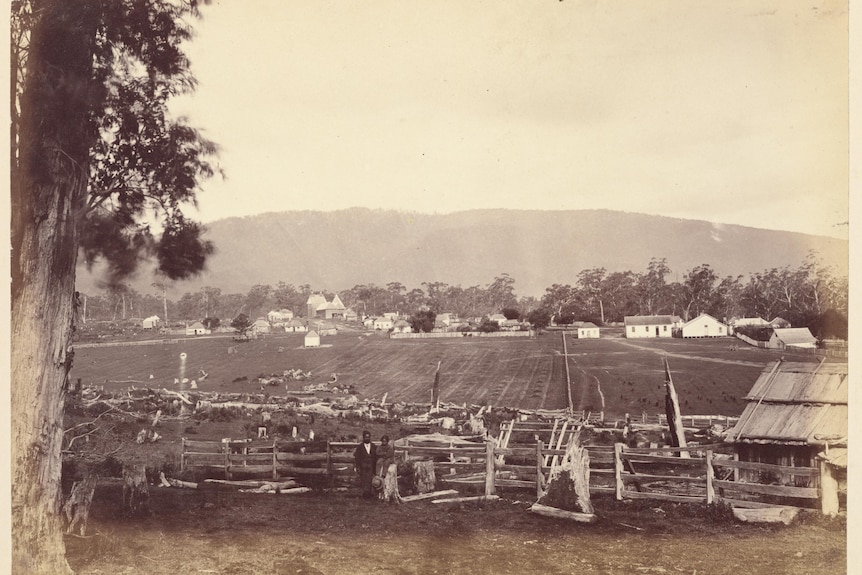 a black and white photograph of farmland and cottages at the historic station of Coranderrk mission