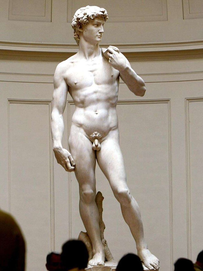 People view the statue of David, by Michelangelo, in the Accademia Gallery in Florence, Italy.