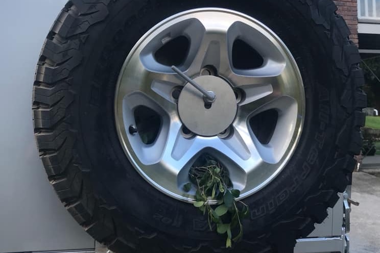 A spare tyre on the back of a vehicle reveals a small nest of leaves