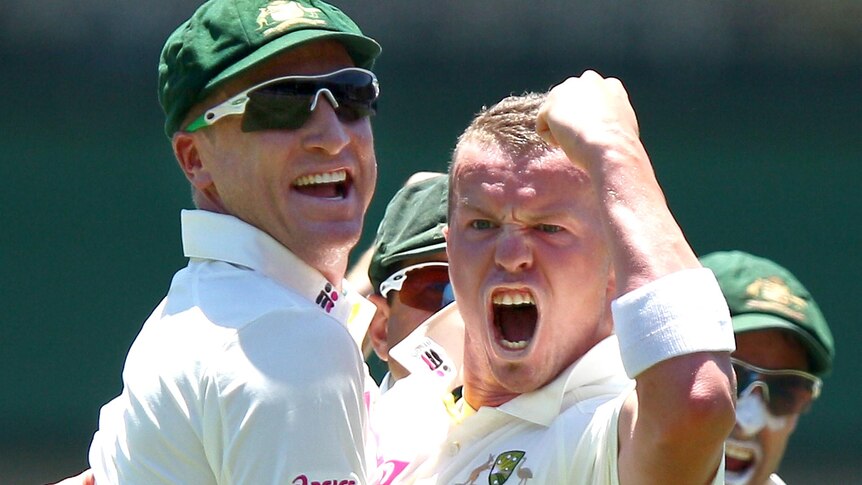 Peter Siddle and Brad Haddin celebrate wicket.