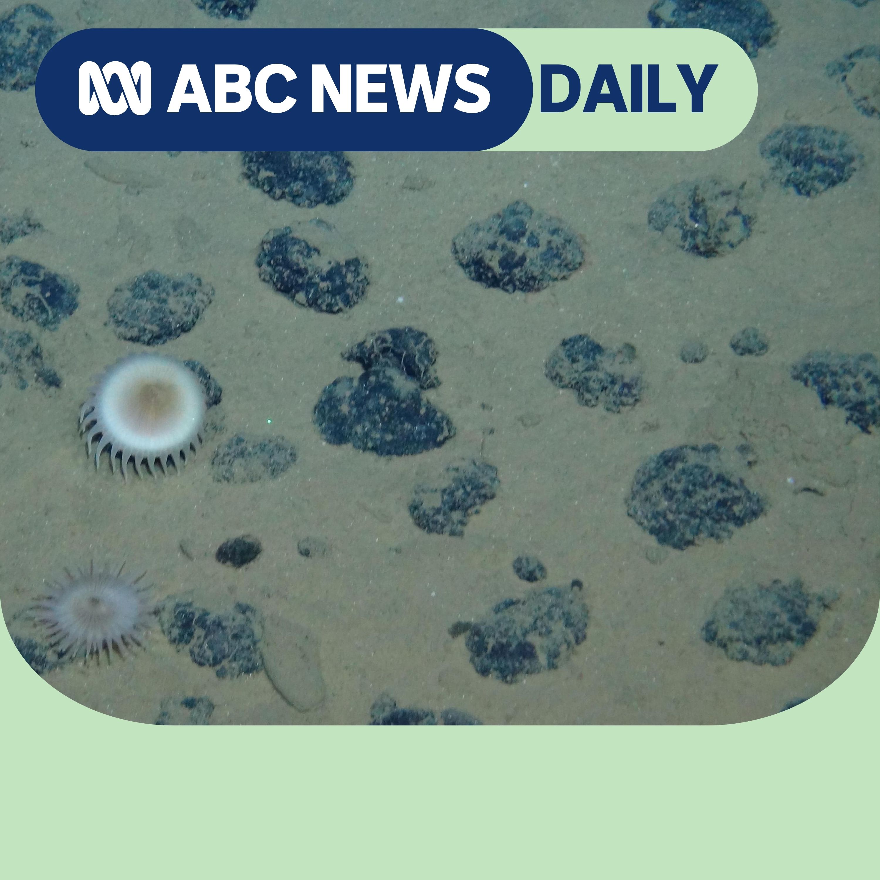 Polymetallic nodules on seabed