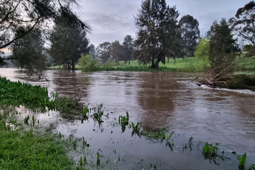 macquarie river