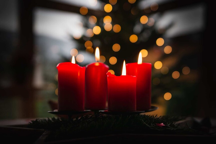Four red candles in focus in front of a Christmas tree.