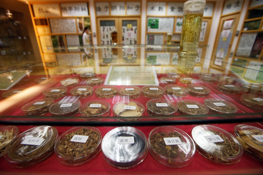 Traditional Chinese medicine herbs are displayed in small clear containers. 
