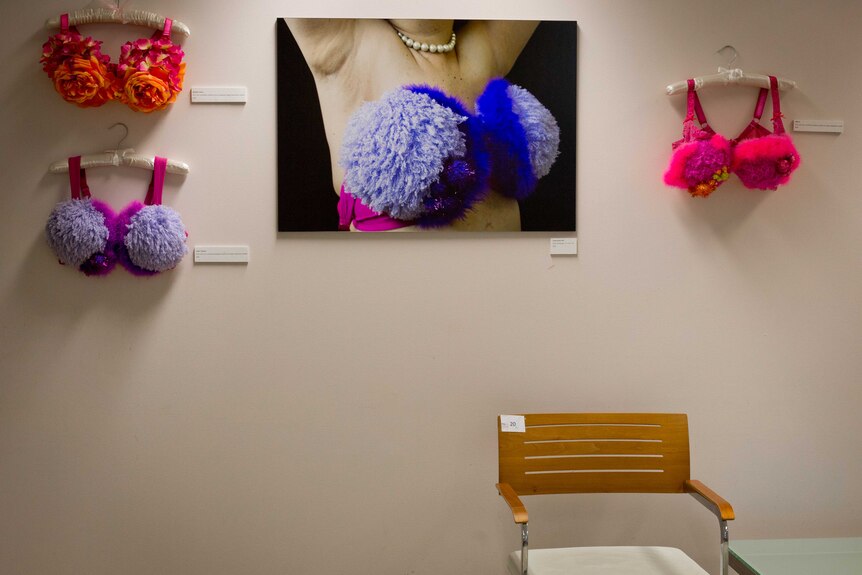 Artwork depicting bras made from artificial flowers hangs in the waiting room of a Sydney breast clinic.