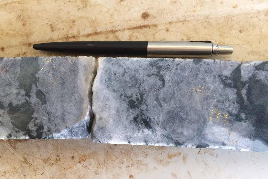 Gold in diamond drill core