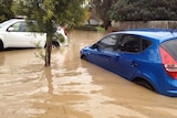 Cars under water in Tennyson Court