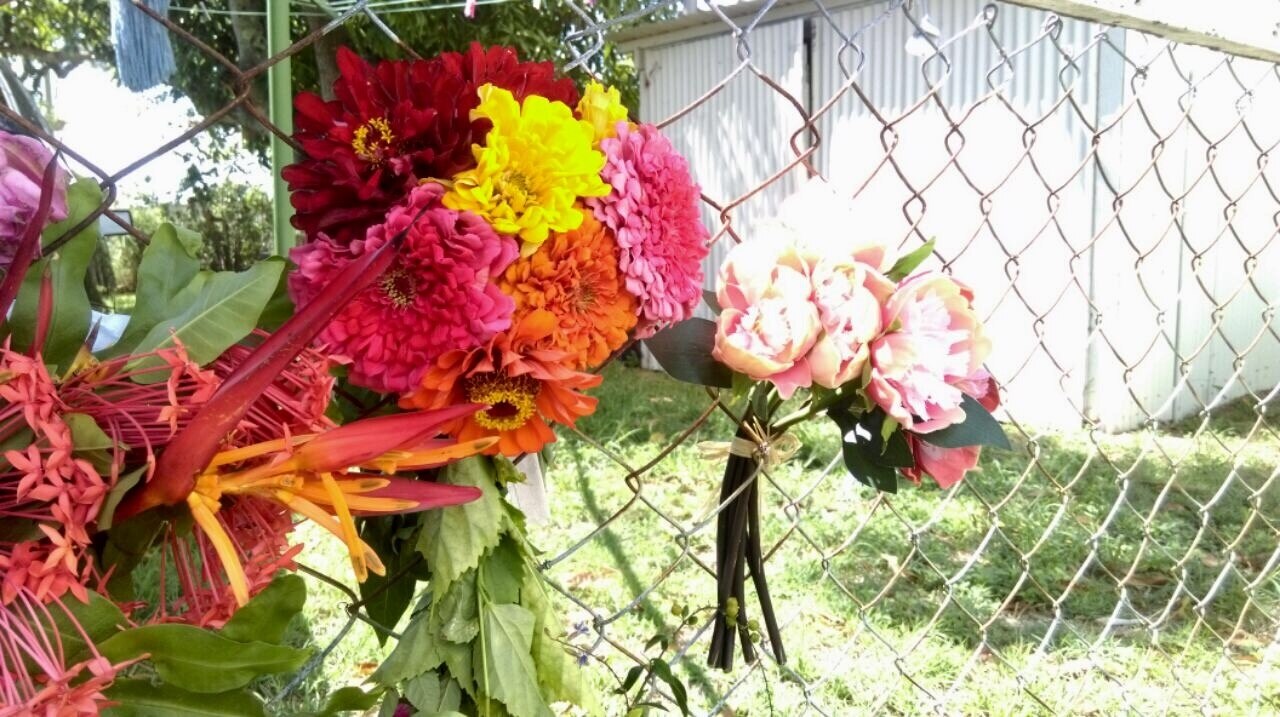 Baby boy who died in Yeppoon was known to Child Safety staff, death under investigation ABC News