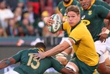 Michael Hooper looks to sidestep a Springboks tackle as he holds the ball