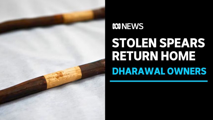 Stolen Spears Return Home, Dharawal Owners: Close up of spear shafts lying on white fabric.