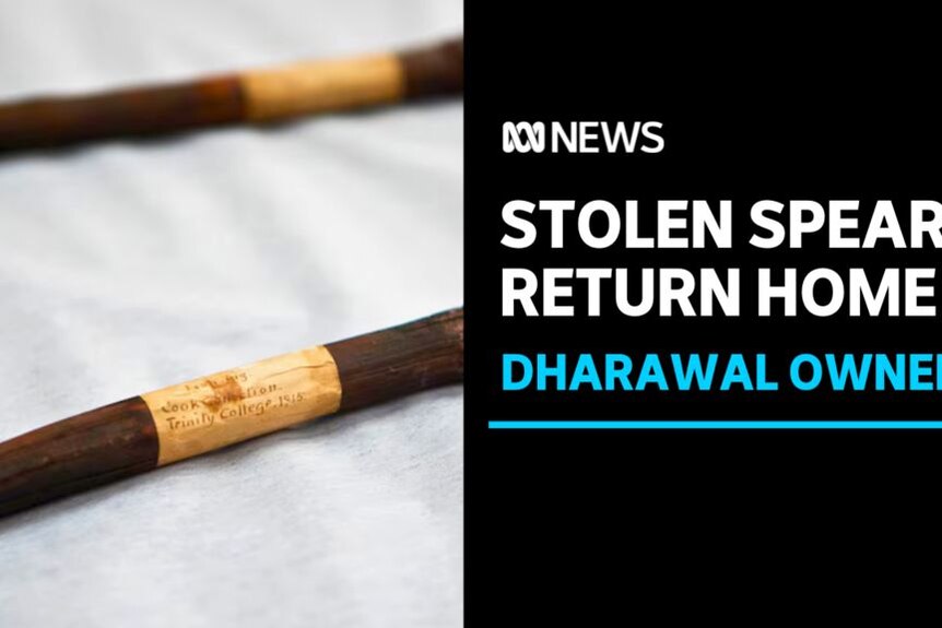 Stolen Spears Return Home, Dharawal Owners: Close up of spear shafts lying on white fabric.