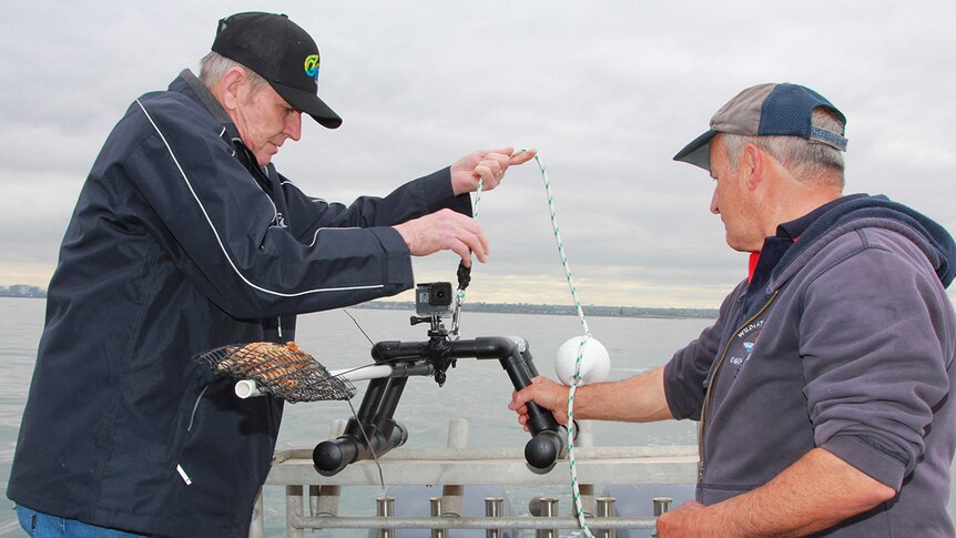 Two men on a boat tie rope to a GoPro camera on a frame. A pole is attached to the front which is loaded up with bait.
