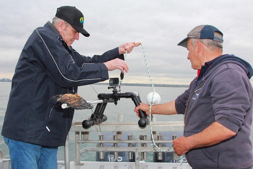 Two men on a boat tie rope to a GoPro camera on a frame. A pole is attached to the front which is loaded up with bait.