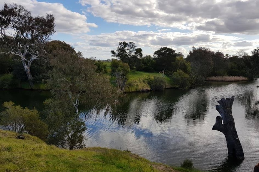 The Werribee River at the Davis Creek junction.