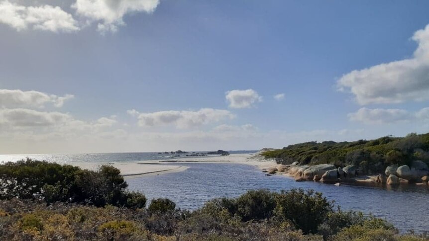 Inlet going out to sea, bush in the foreground and background, sunny day with clouds over head