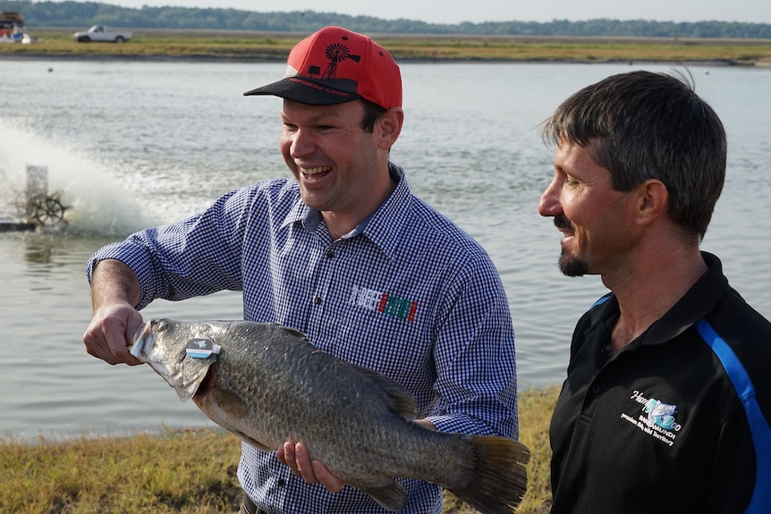 Matt Canavan standing with a barramundi fish.