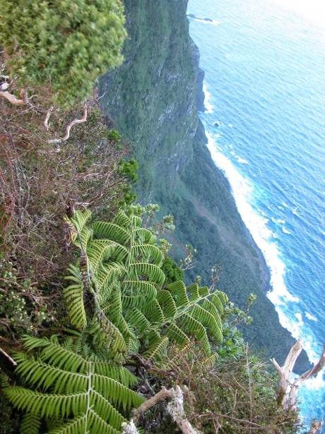 Lord Howe Island