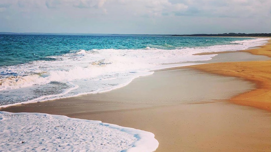 Shoalhaven beach