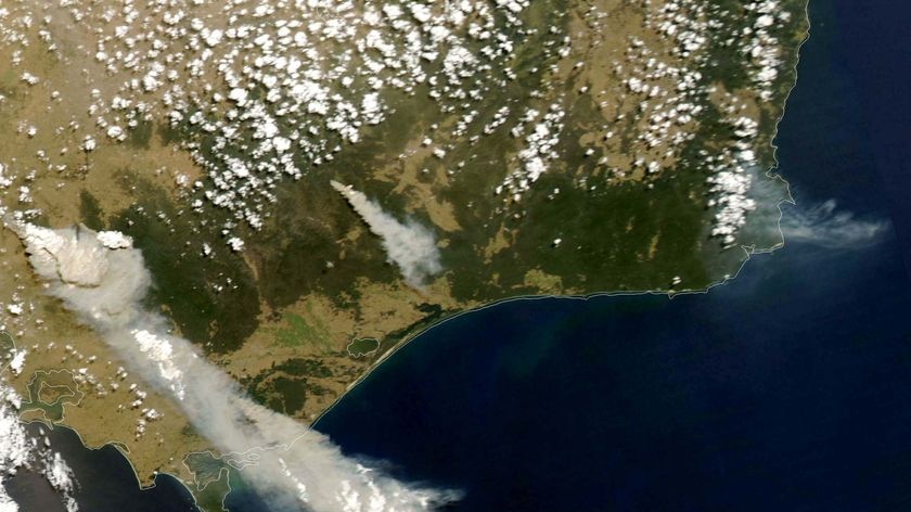 Firefighters from the ACT are helping attack the bushfires in Victoria.
