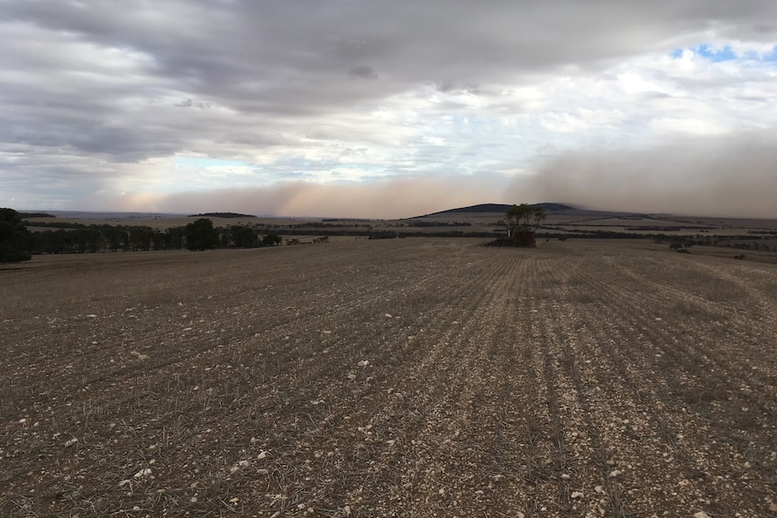 A paddock that consists only of dry, brown dirt and stones. 