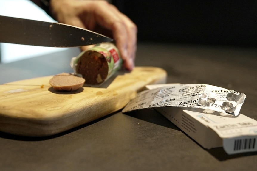 A hand cuts dog food on cutting board next to a packet of antidepressant medications. 