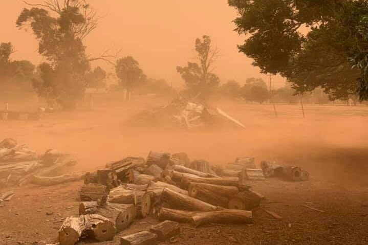 A pile of chopped wood in front of a dusty horizon.