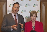 Greens leader Christine Milne and Senator Peter Whish-Wilson at the state campaign launch