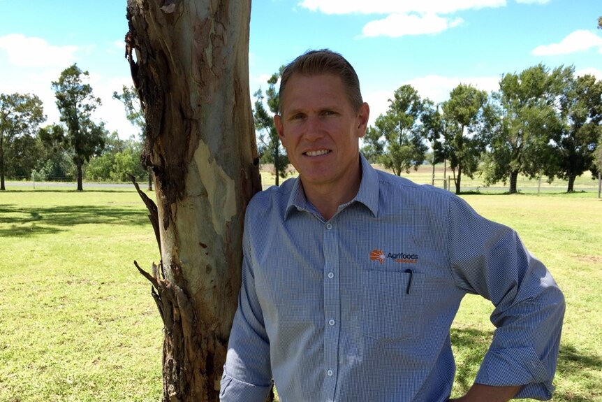 Rob Anderson standing beside a eucalypt tree
