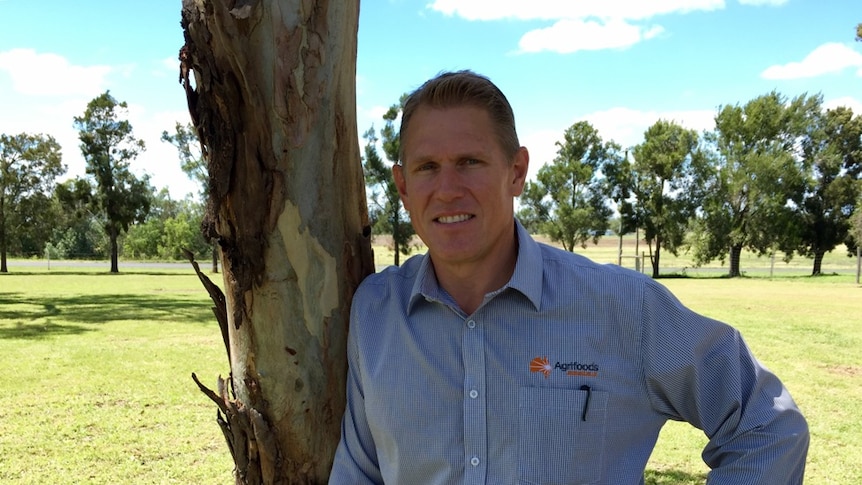 Rob Anderson standing beside a eucalypt tree