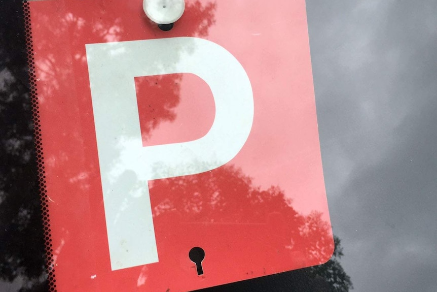 A red p-plate sign in a car window.