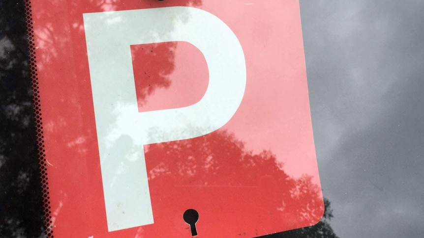 A red p-plate sign in a car window.