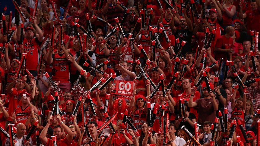 Wildcats fans show their support in game three of the NBL Finals against Adelaide 36ers.