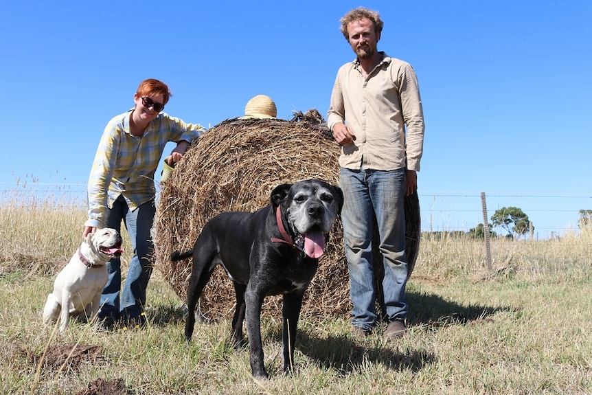 Two people standing with hay bail with two dogs