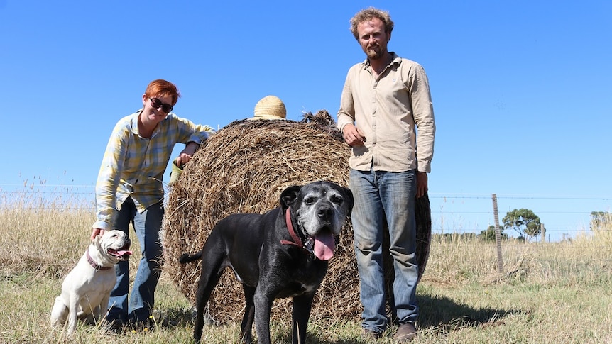 Two people standing with hay bail with two dogs