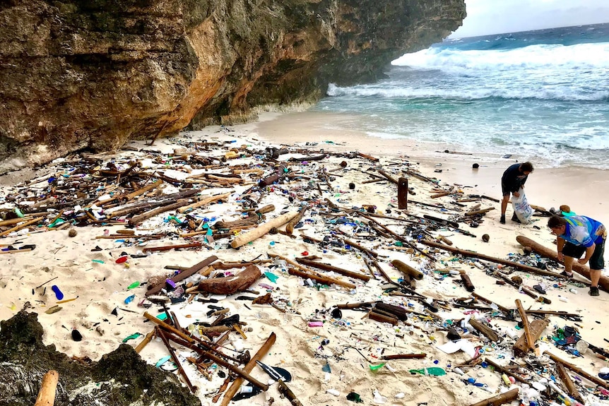 A beach covered with plastic marine debris and wood.